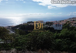 imagem_3