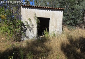 imagem_6