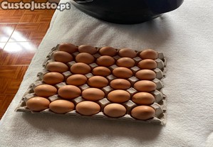 Ovos galados ou consumo !