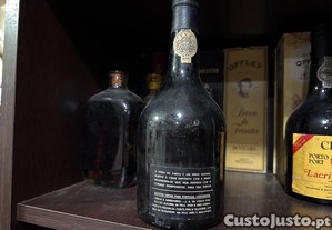 imagem_5