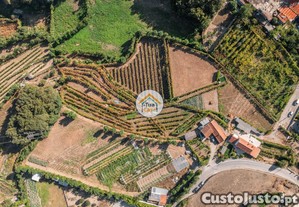 Quinta com Adega Regional, Casa de Pedra para Restauro e Vinha