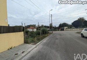 imagem_7