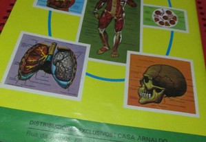 imagem_6