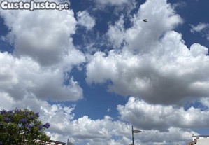 imagem_22