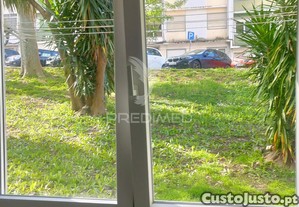 imagem_11