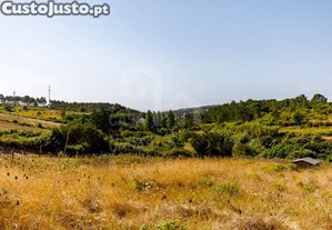 Lote Mafra