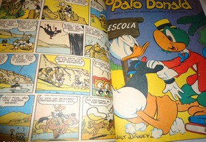 imagem_6