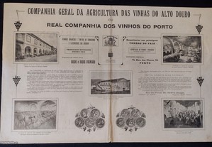Real Companhia Vinho do Porto, Vinhas do Alto Douro