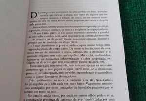 imagem_6