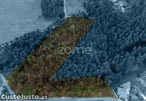 Terreno Santo Tirso