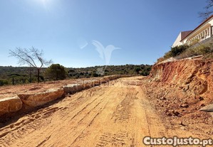 imagem_12