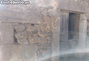 imagem_19