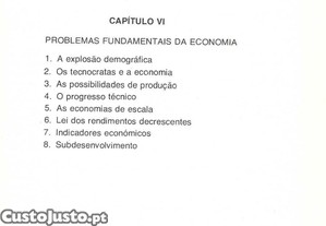 imagem_8