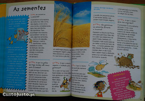 imagem_6