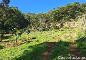 Terreno com 21 500,00 m2 à em caniçal
