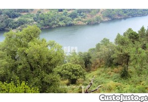 Casa Rstica T1 Cinfes