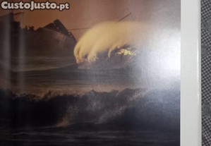 imagem_6