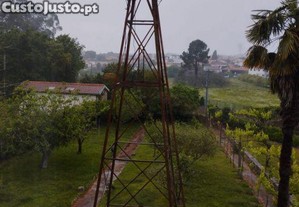 imagem_6