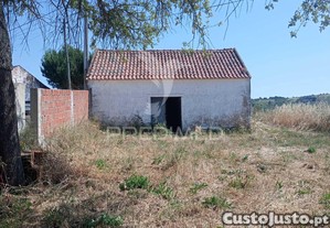 imagem_10