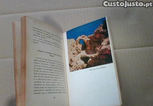 imagem_6