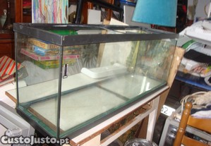 aquario peixes