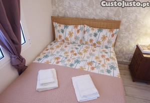 imagem_16