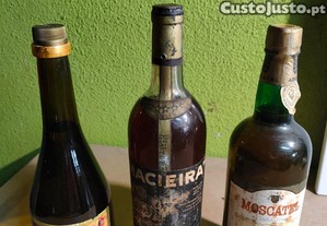 imagem_1