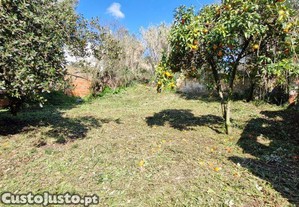 Casa / Villa T8 em Rio Maior de 226,00 m