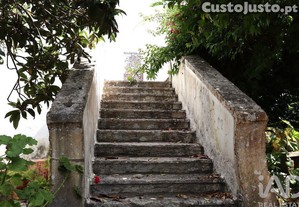 imagem_18