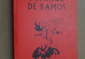 "Domingo de Ramos" de Clara Pinto Correia