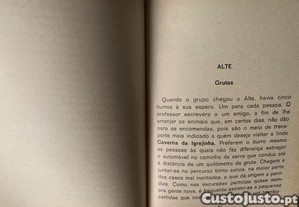 imagem_3