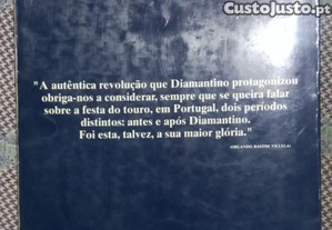 imagem_8
