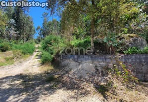 Bouça C/ 14.300M2 Em Airó, Barcelos
