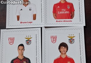 imagem_4