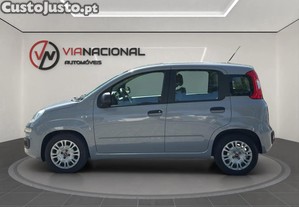imagem_4
