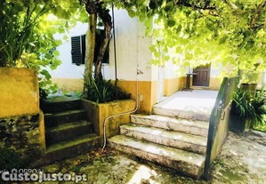 imagem_9