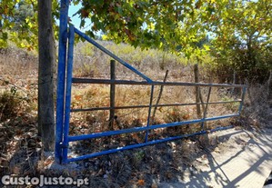 imagem_5
