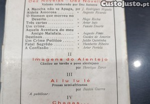 imagem_8