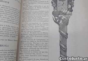 imagem_4