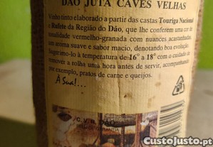 imagem_4