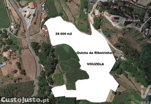 imagem_23