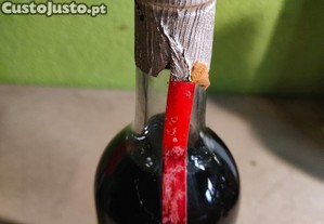 imagem_5