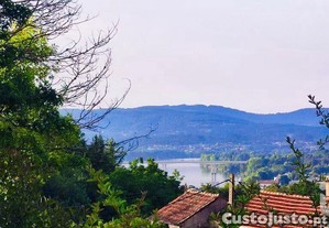 imagem_31