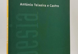 António Teixeira Castro // A Desventura do Sentido