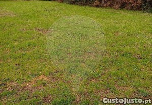 imagem_10