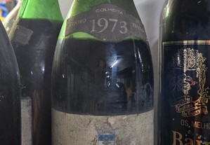 Vinho Tinto Cantanhede 1973