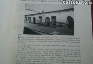 imagem_12