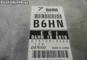 imagem_3