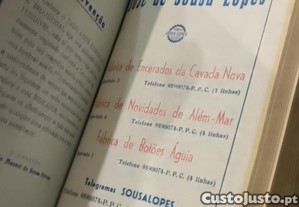 imagem_11