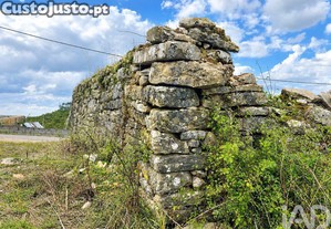 imagem_7